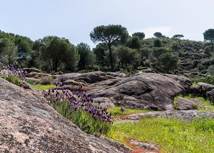 Semesterbostad Casa El Refugio Del Rural