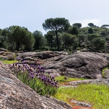 Vakantiehuis Casa El Refugio Del Rural
